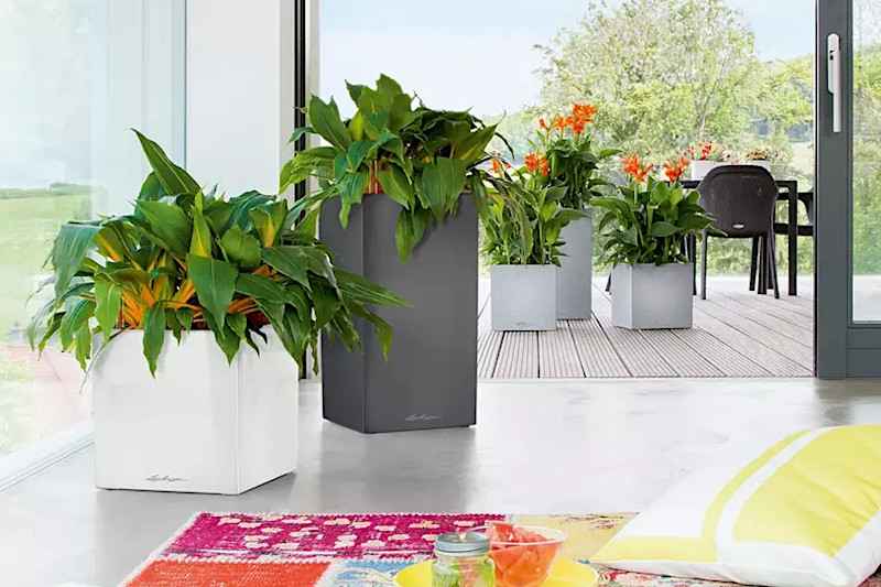 CANTO Premium Low Αυτοποτιζόμενη Πλαστική Γλάστρα Lechuza